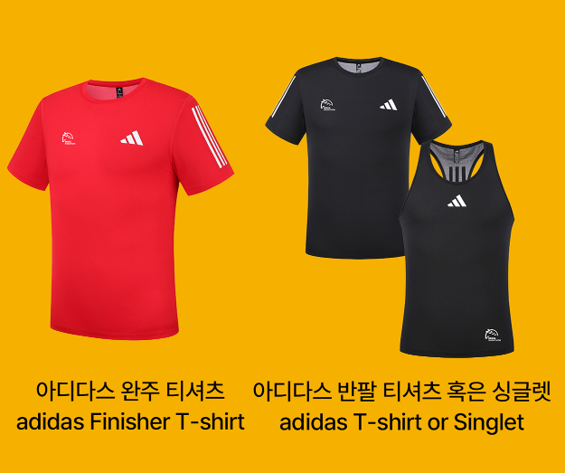 서울레이스 2025 신청