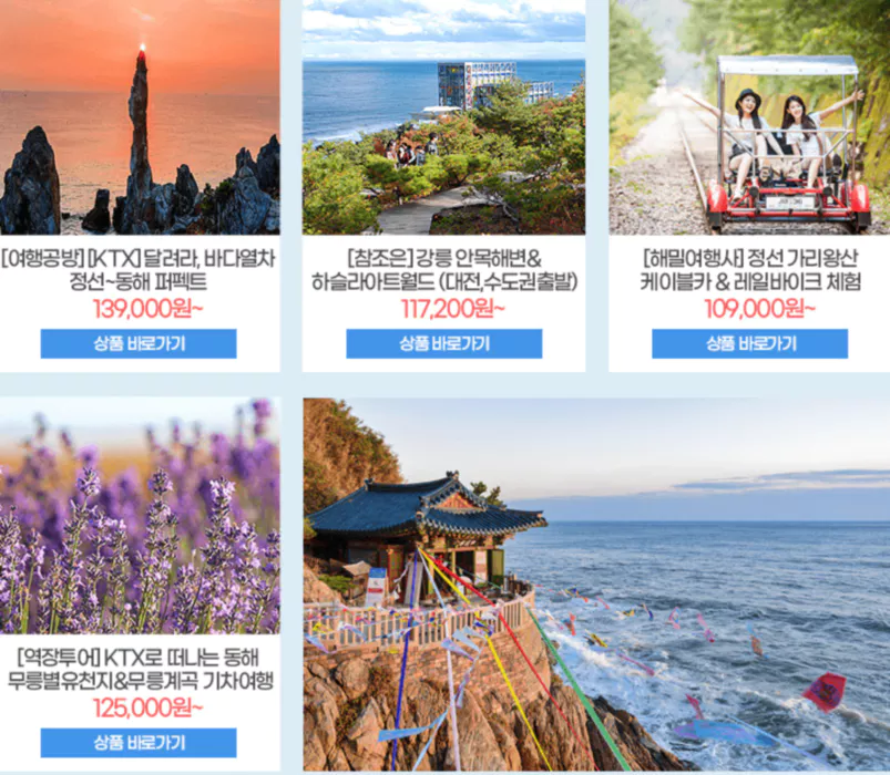 관광열차-노선-운임-최대50%-할인