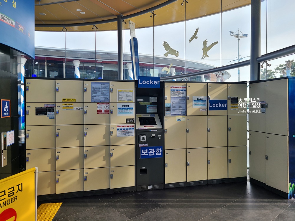 부산 아쿠아리움 입장권 최저가 할인방법, 연간할인, 실내 프로그램