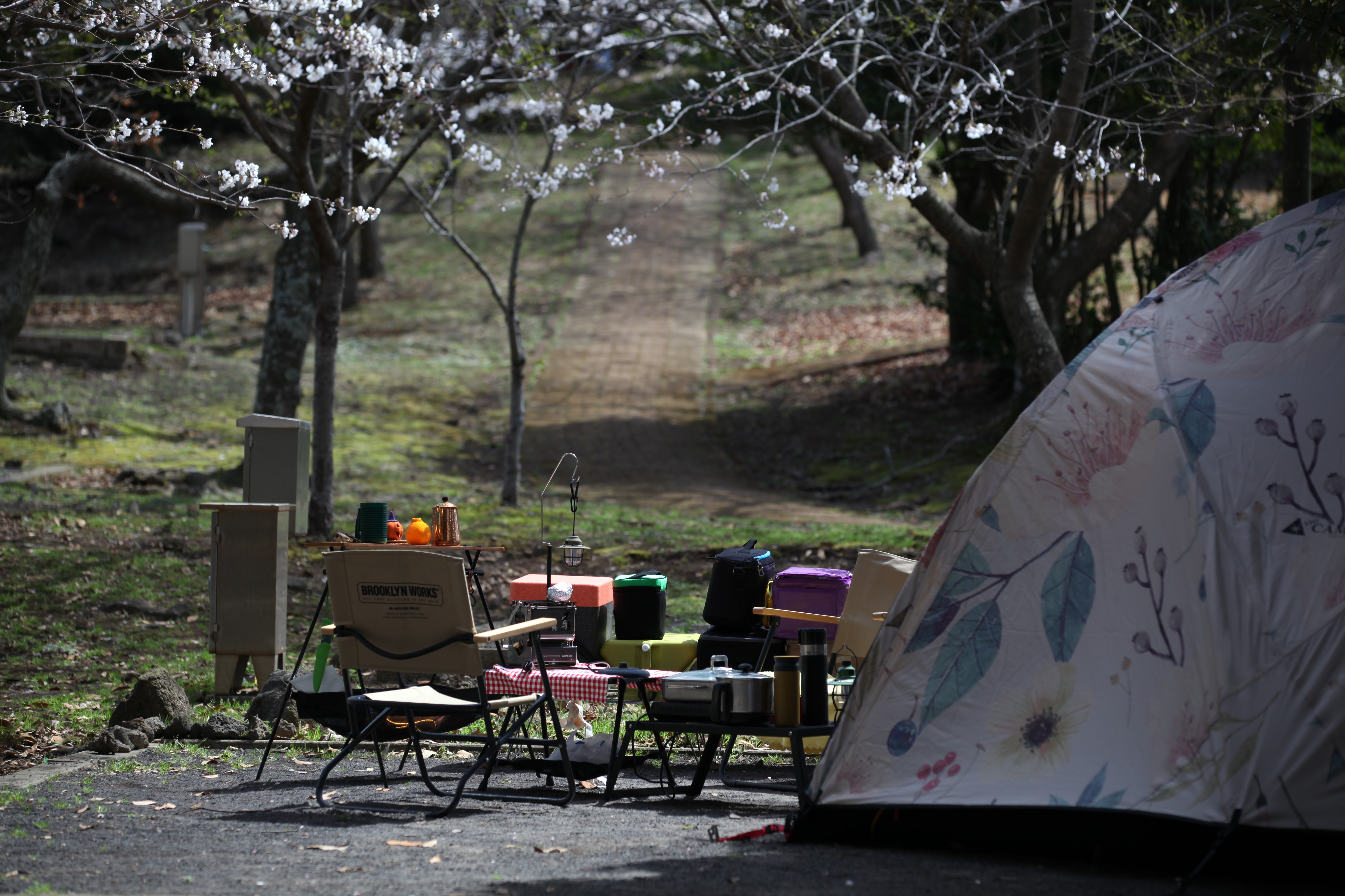 #캠핑체크리스트 #차박준비물 #백패킹체크리스트 #오토캠핑준비 #글램핑리스트 #여름캠핑 #캠핑준비도구 #캠핑초보 #2인캠핑 #캠핑팁 #캠핑장비리스트 