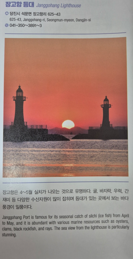 당진터미널 관광안내책자