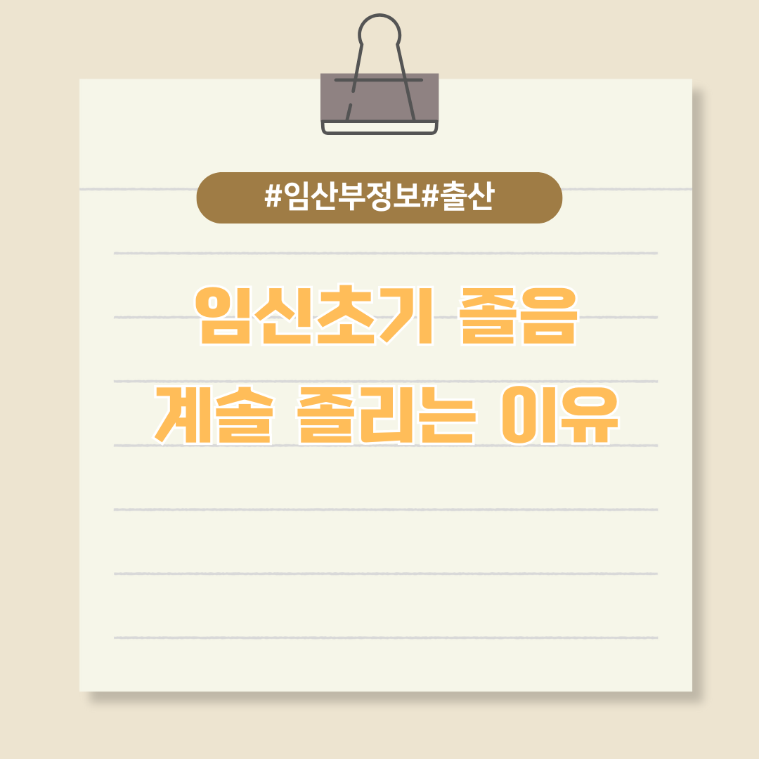 임신 초기 쏟아지는 졸음에 대한 오해와 진실