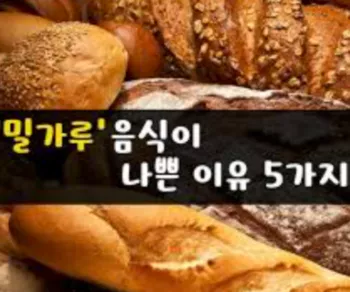 정제곡물-밀가루-음식