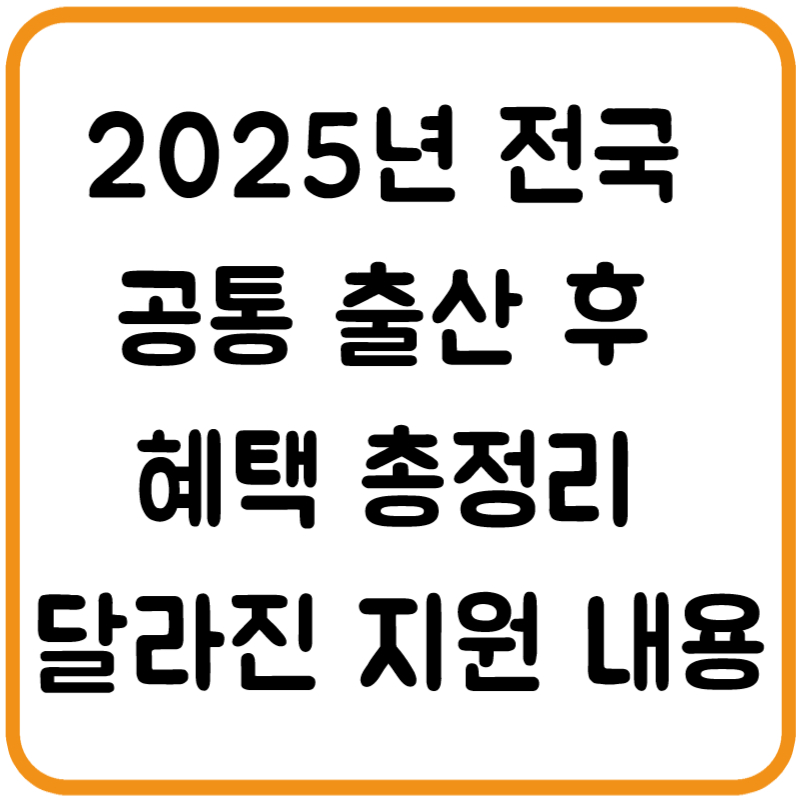 2025년 전국 공통 출산 후 혜택 총정리