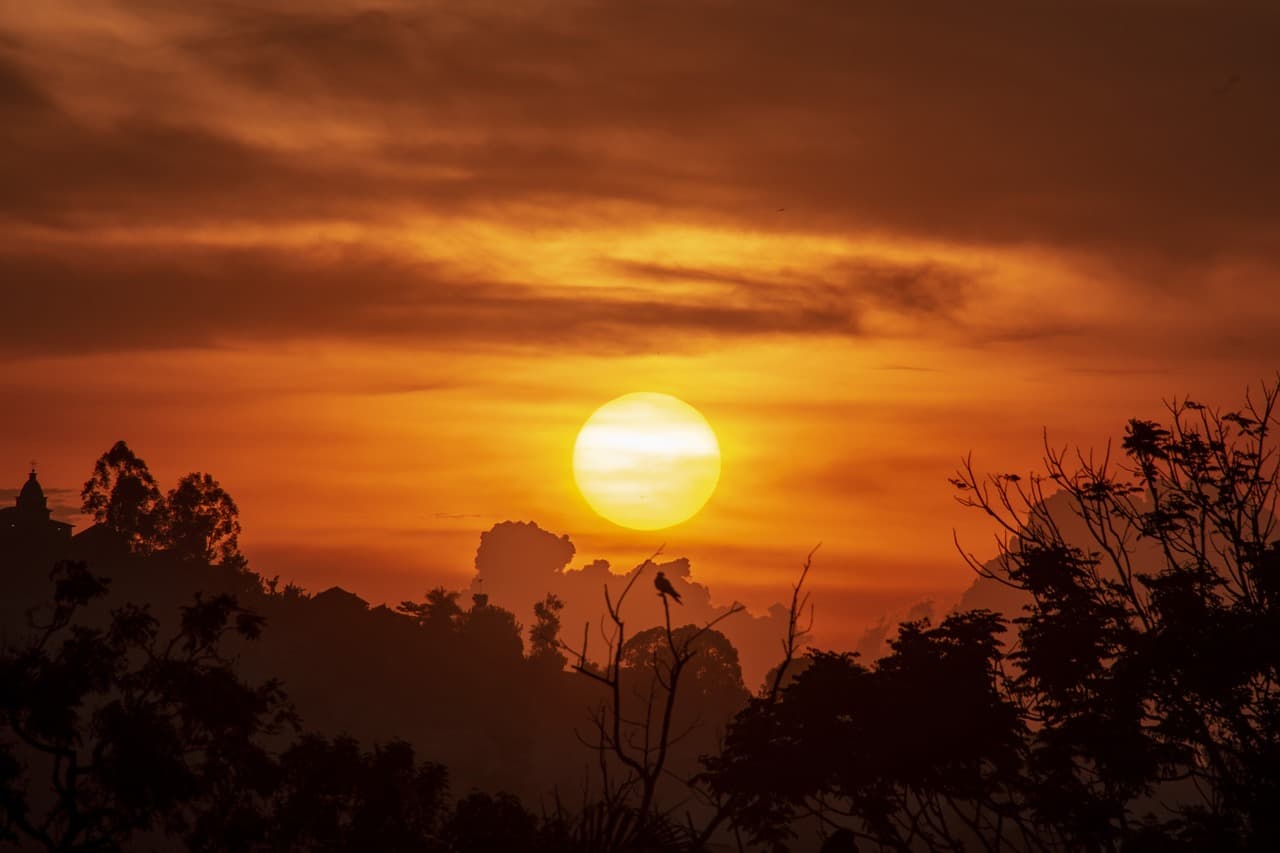나만 알기 아까운 떠오르는 여행지 10. 키발레 국립공원