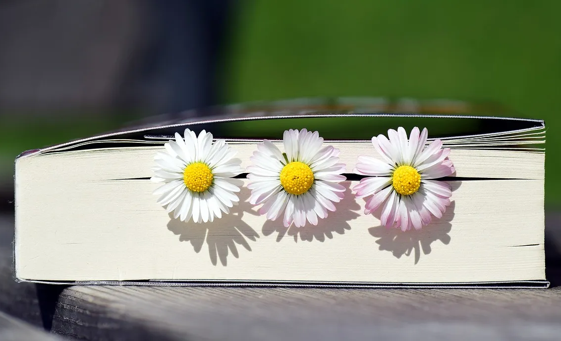 되다-돼다-정확한-맞춤법-되-돼