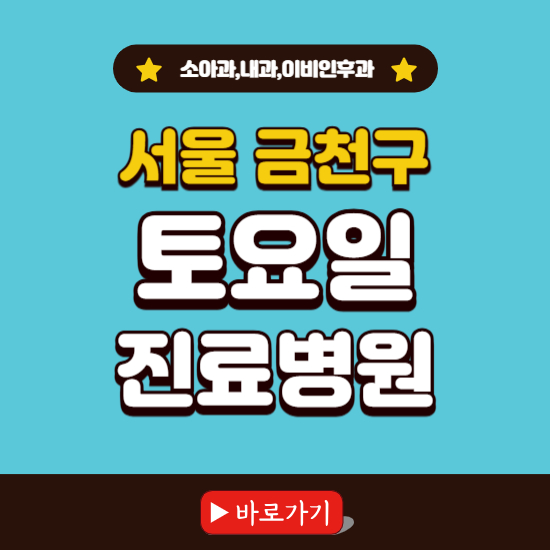 서울 금천구 토요일 진료 병원 찾기 ❘ 주말 문여는 소아과, 내과, 이비인후과 리스트