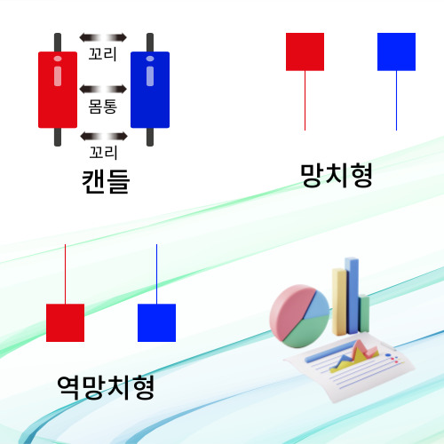 역망치형 망치형