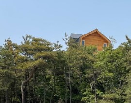 숲나들e 무의도 자연휴양림 국내 여행지 추천 관련사진