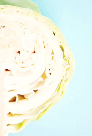 타임지 3대 장수식품