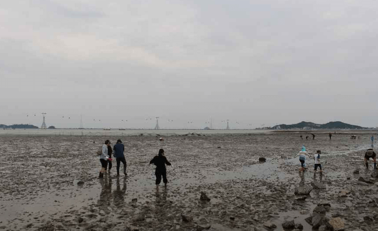 대부도 가볼만한곳 베스트10