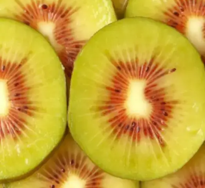키위-사진