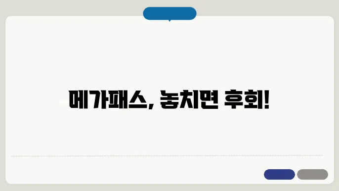 메가패스 커뮤니티