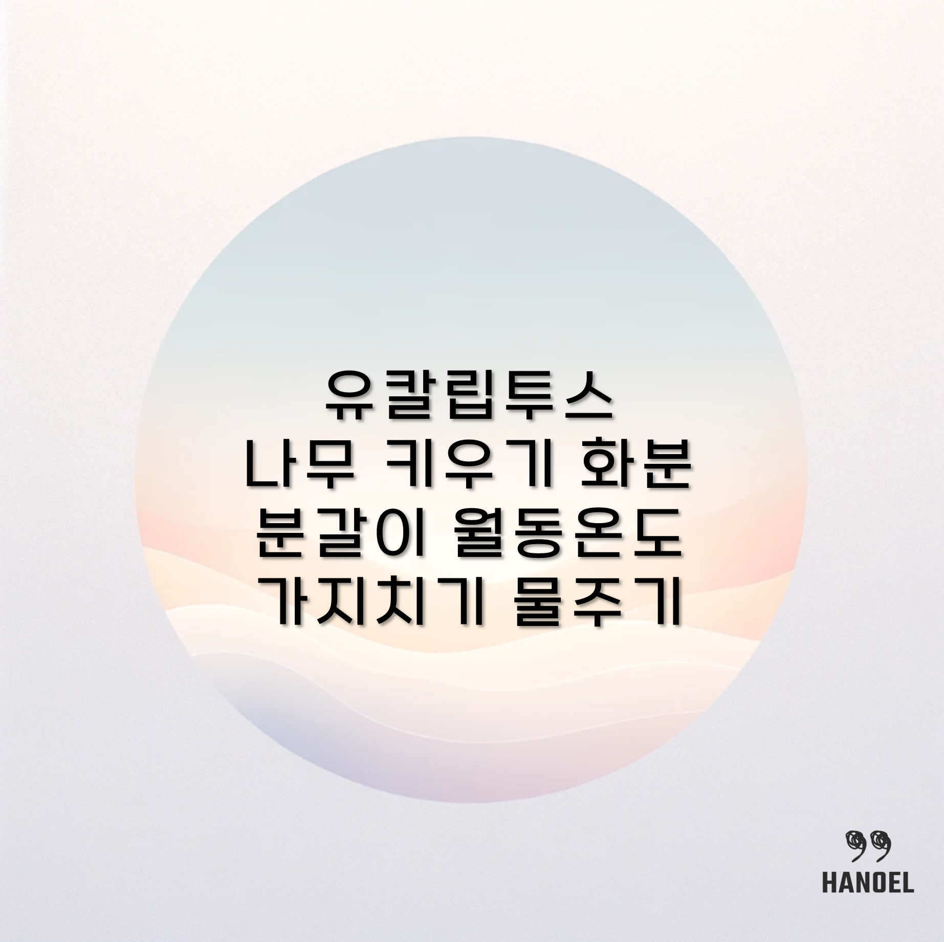 유칼립투스 나무 키우기 화분 분갈이 월동온도 가지치기 물주기