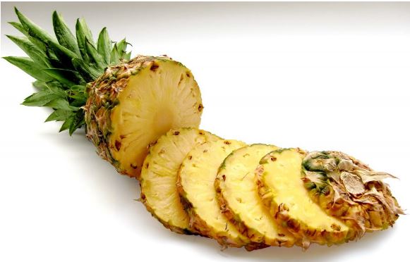 다이어트보조제-성분-추천