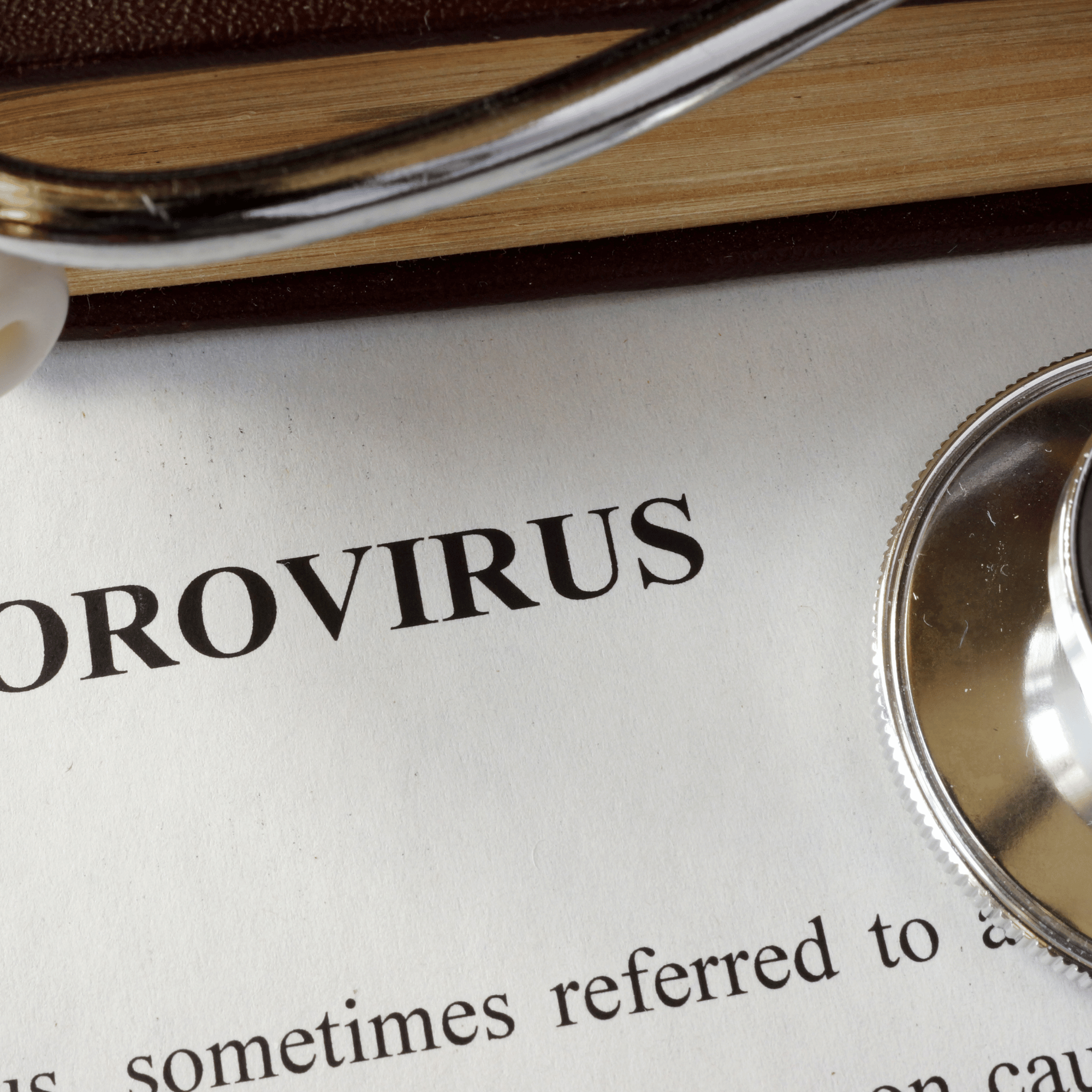 노로바이러스 증상