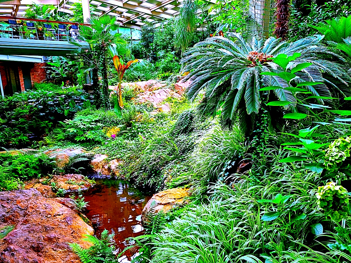 양주 오랑주리 카페: 자연 그대로 실내에 담은 대형 식물원 카페