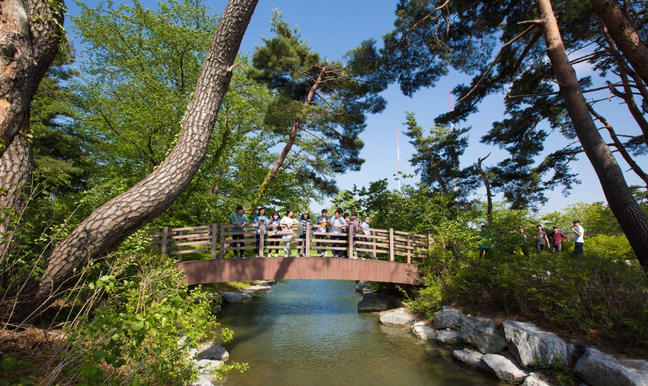 강릉 가볼만한곳 베스트10 여행지