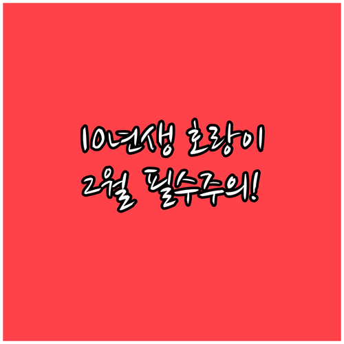 2010년생 호랑이띠 2월에 조심해야..