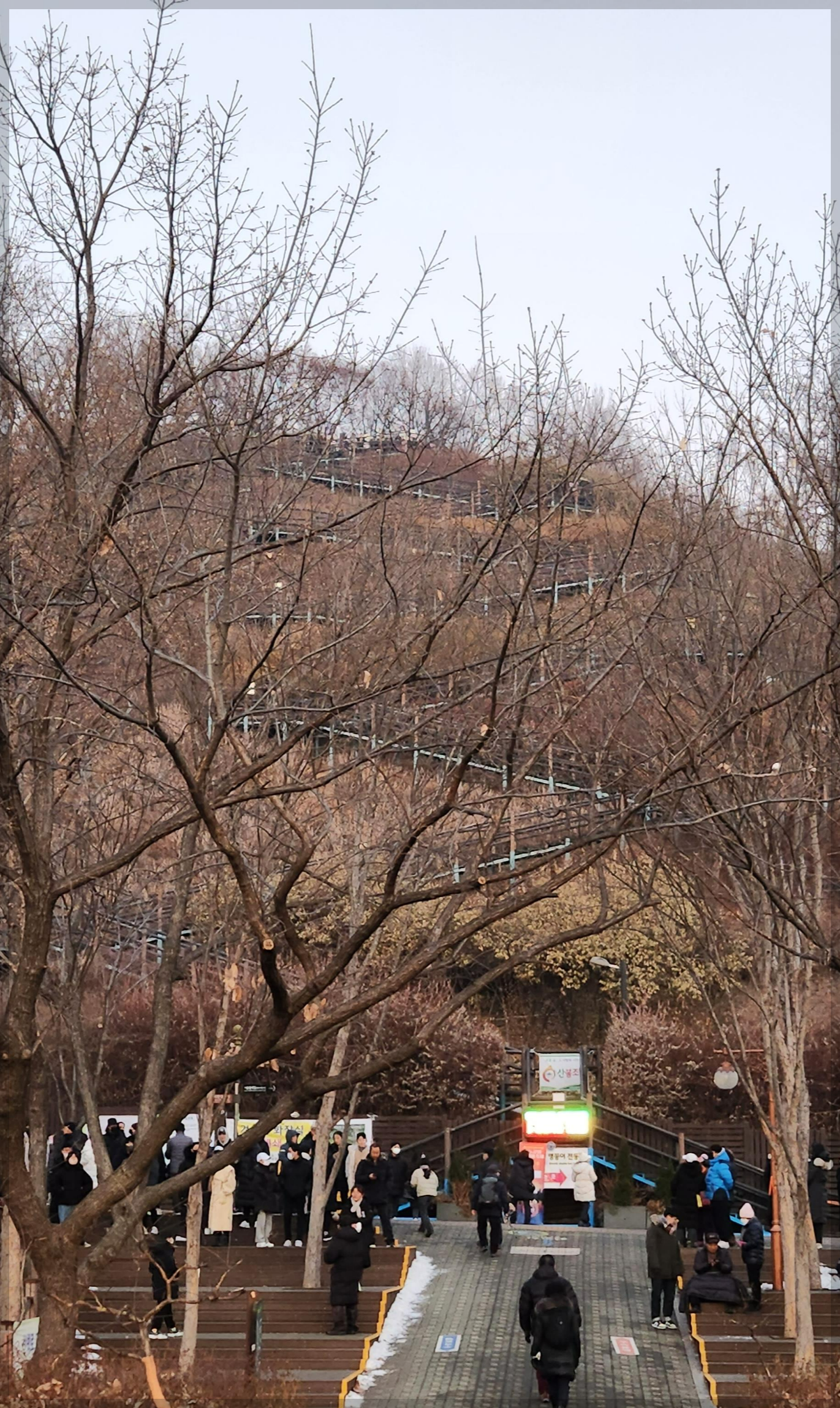 하늘공원 (마포) 새해 일출 해돋이 주차