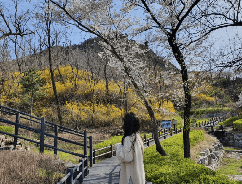 벚꽃 등산 코스 추천 및 산행 시 유의사항