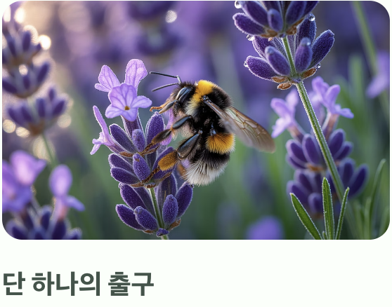 '가짜 집'으로 유인하는 영리한 사냥꾼