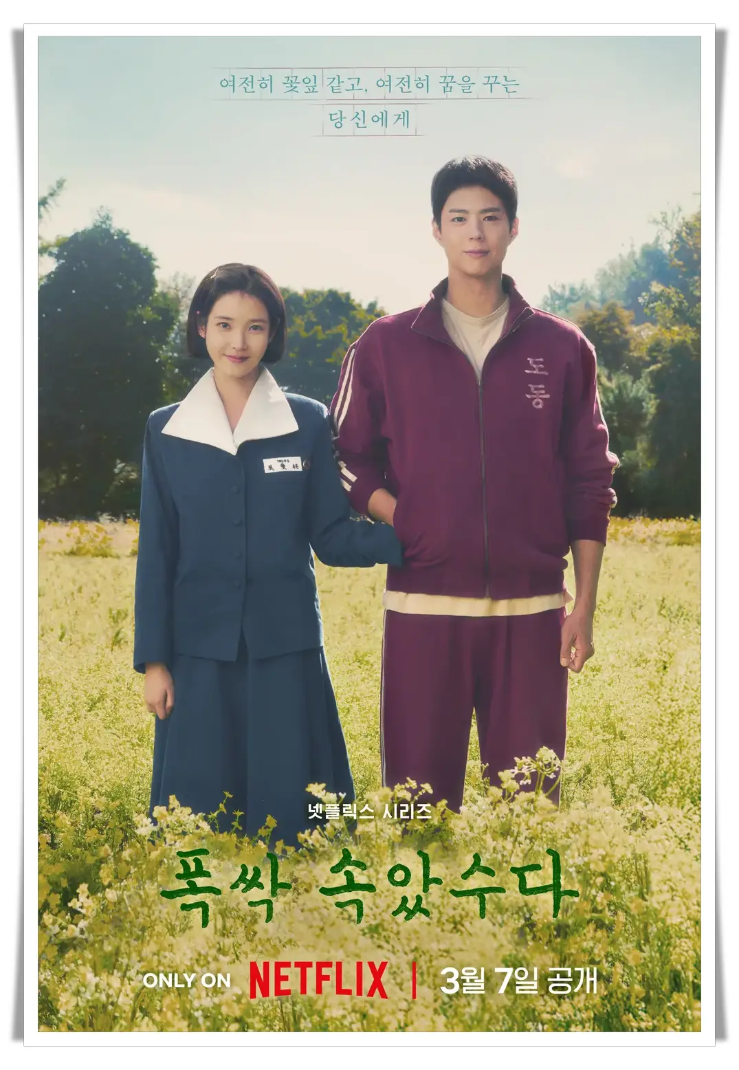 폭싹 속았수다 주요 등장인물 및 분위기