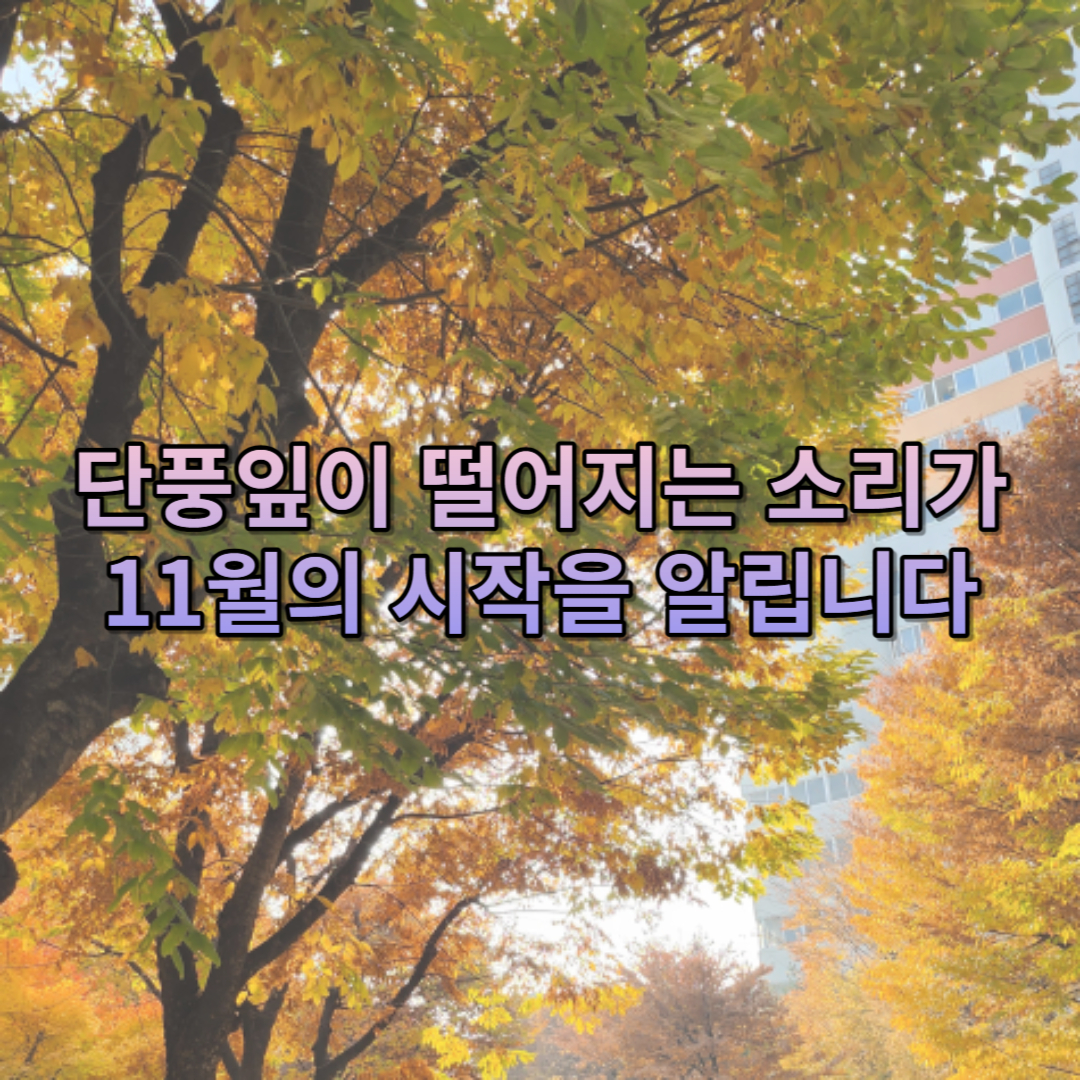 단풍잎과 관련된 11월에 보내면 좋은 메세지