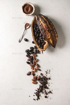 코코아 가루 다이어트