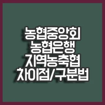 지역농협과 중앙농협 차이점 비교 정리자료_26