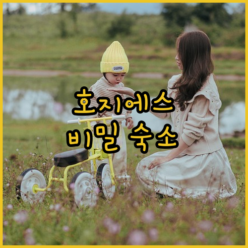 폴란드 호지에스 여행에서 꼭 가봐야 ..