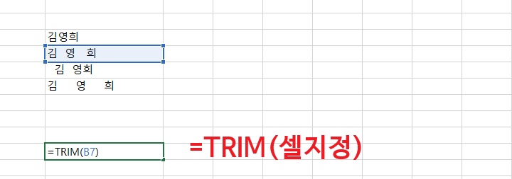TRIM 함수 기재된 것 보임
