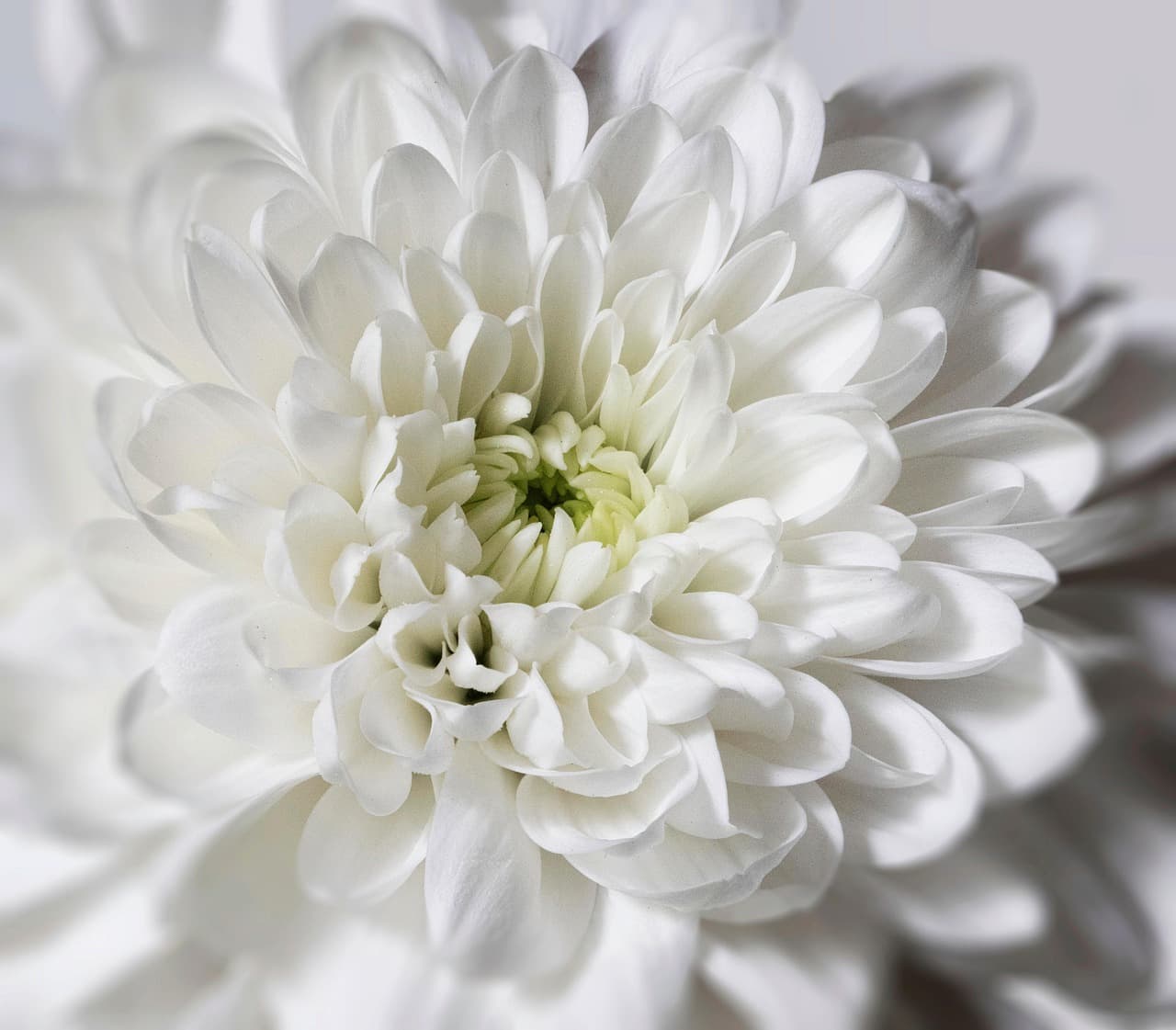 장례식 준비물과 준비 순서 총정리