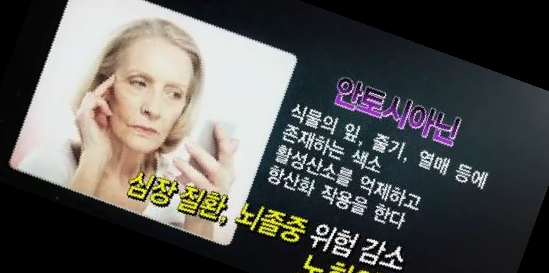 아로니아 분말 복용법