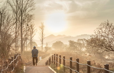 어르신-근로장려금-시니어-근로장려금-1