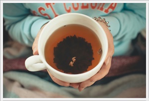 말차 대신 호지차