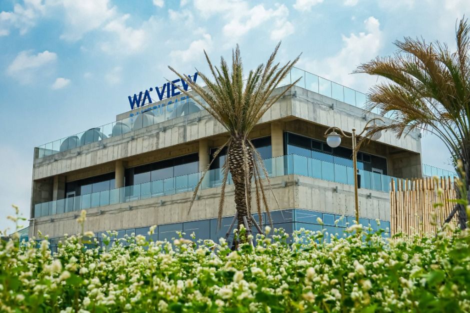 웨이뷰 메밀꽃 축제? 당신만 모르는 ‘이 시기’가 있다