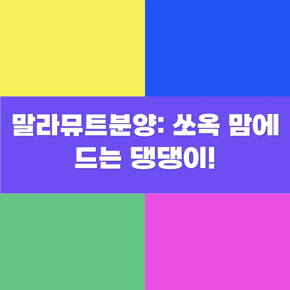 썸네일 이미지