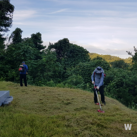 벌초 대행 서비스 사진8