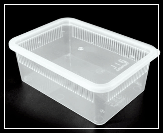 크레스티드-게코-적재형-사육장