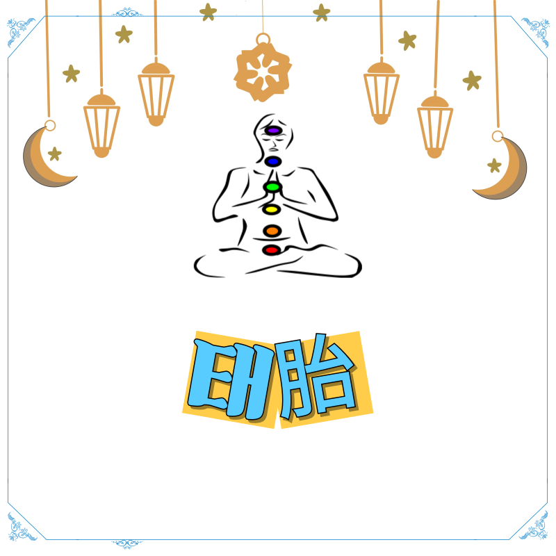 사주로 보는 태胎인생 사이클