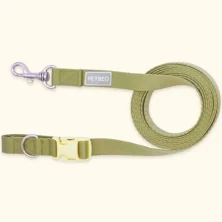 산책이 즐거워지는 강아지 리드줄 BEST 6 추천