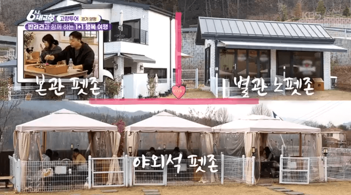 [6시내고향]경기 양평 애견동반 바베큐&middot;정원카페&middot;산악 액티비티 &amp;#39;바베큐레이브 더그림 엑스라이프&amp;#39; 예약 위치 연락처 정보