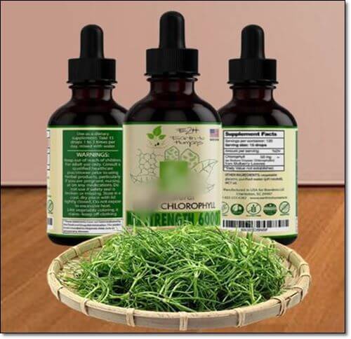 채소와 클로로필