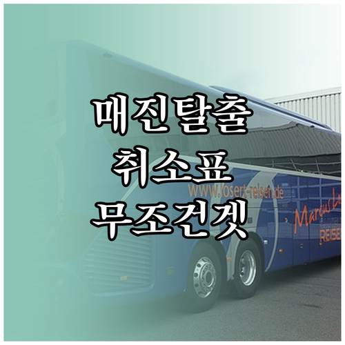 설날 고속버스 매진 노선 취소표 잡는..