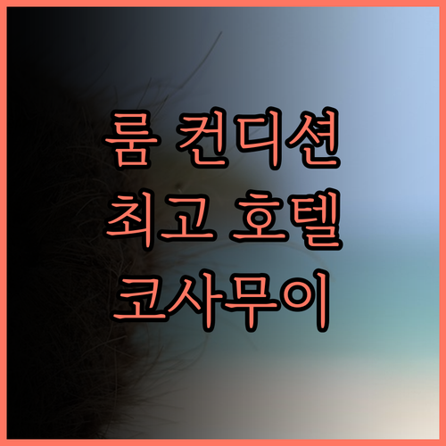더 리츠칼튼 코사무이 후기 룸 컨디션