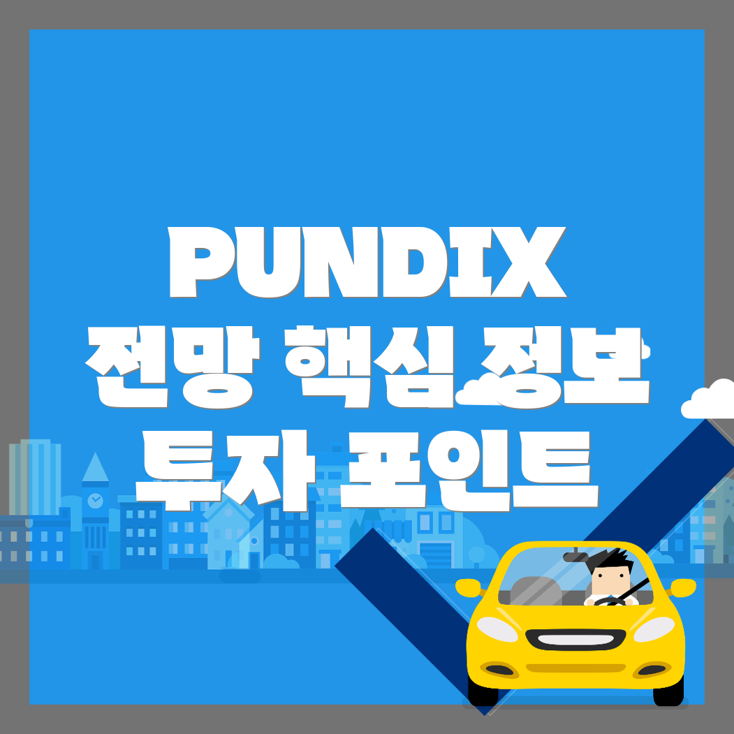 PUNDIX 코인