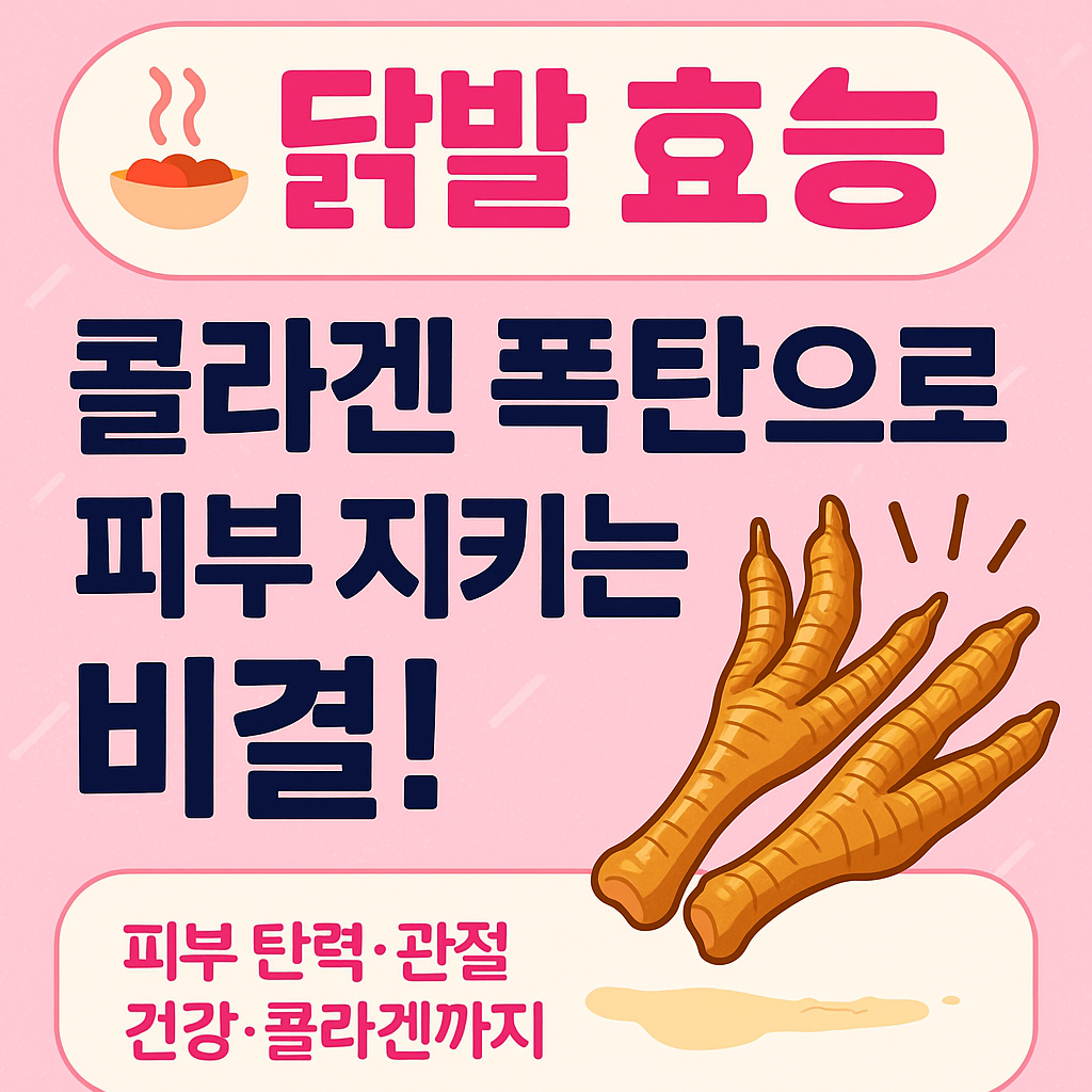 닭발 효능: 콜라겐 폭탄으로 피부 지키는 비결!