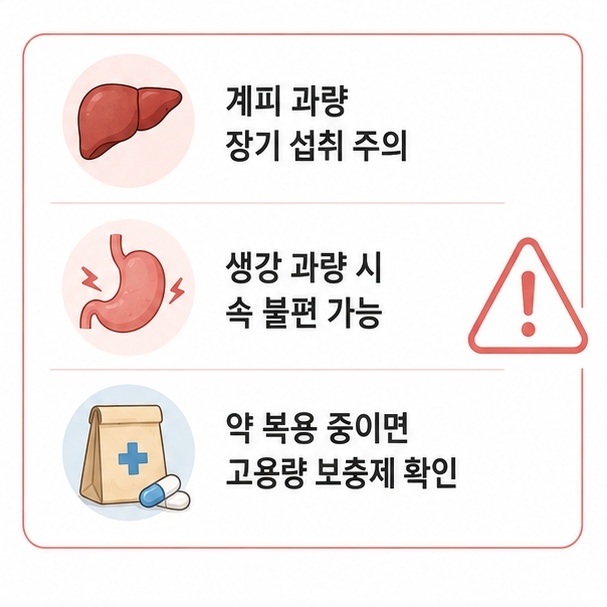 계피와 생강의 과량 섭취 주의사항과 약 복용 중 고용량 보충제 확인 필요성을 안내한 이미지