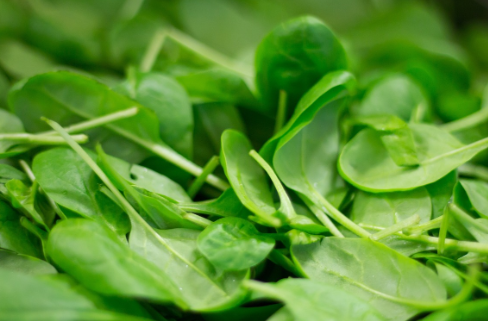 당뇨에 좋은 음식 5